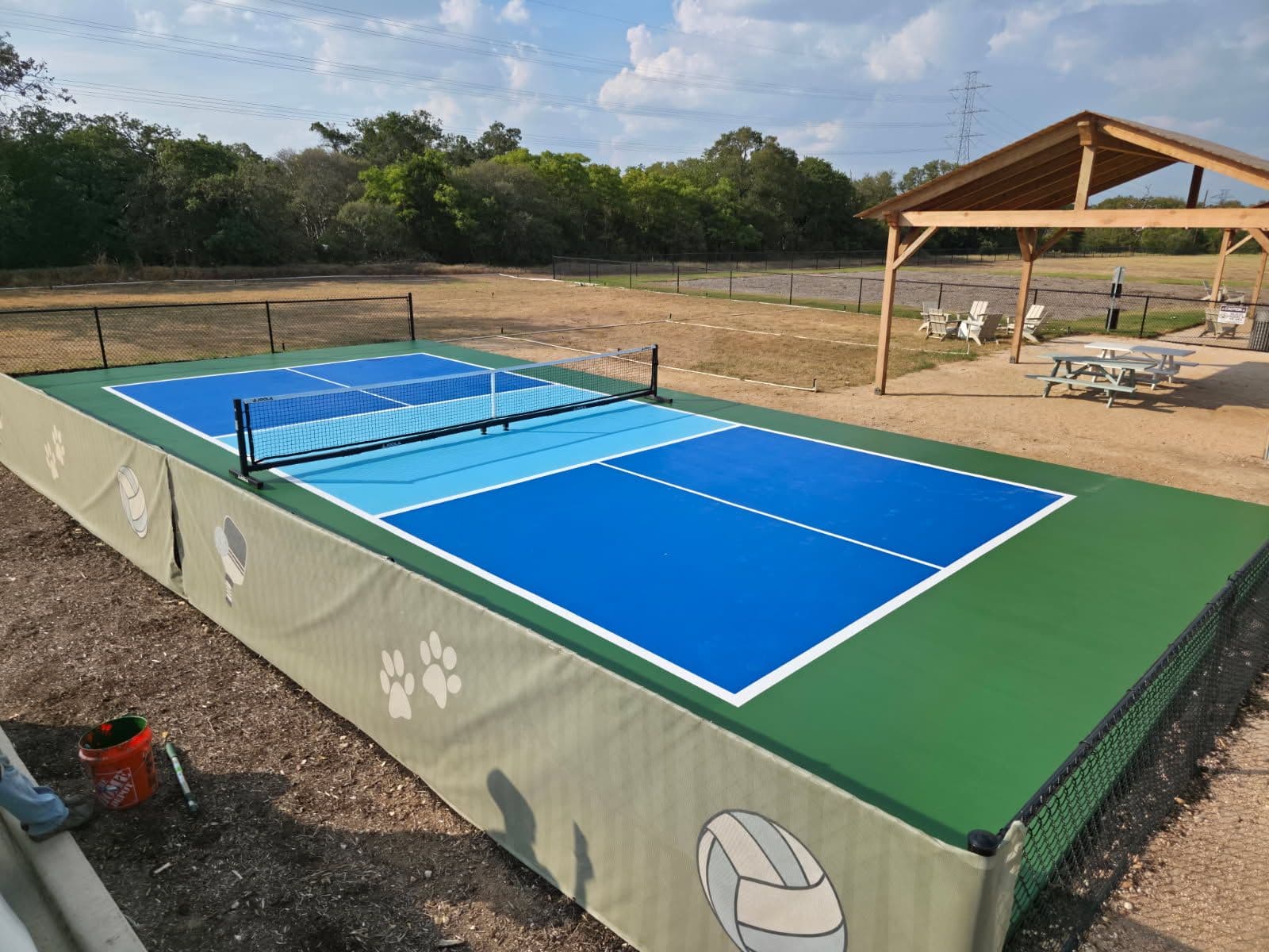 Vibrant Pickleball Court Painting in Del Valley image